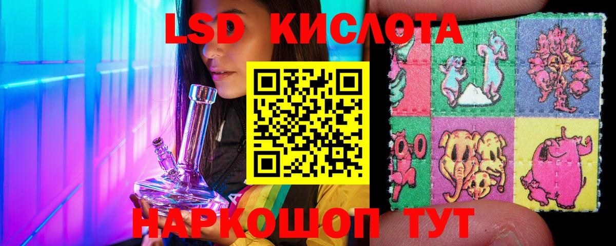 Бошки Шишки Татарск