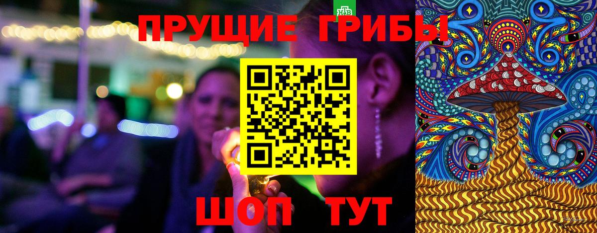 Псилоцибиновые грибы Cubensis  Вход с VPN  Татарск 